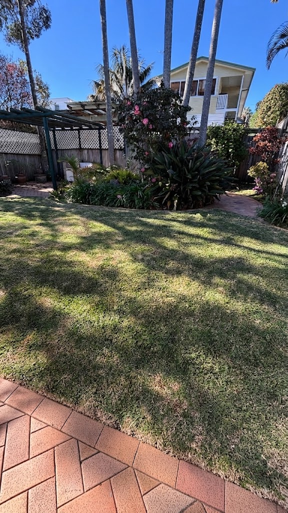 Freshly mown backyard lawn edged against established garden beds